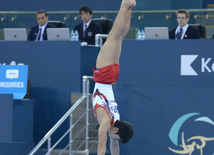 Bakıda idman gimnastikası üzrə Dünya Kuboku yarışlarının ilk günü start götürüb. Azərbaycan, 19 fevral, 2016